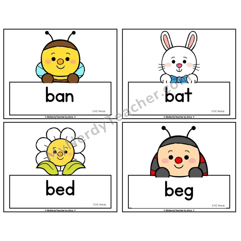 CVC Word Picture Cards — Summer Theme