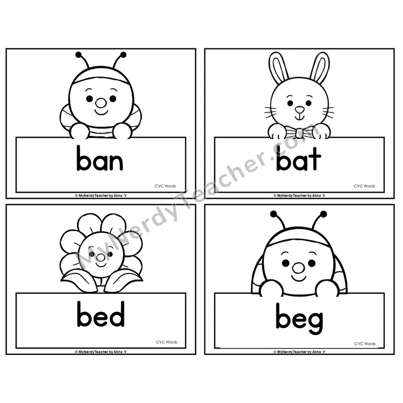 CVC Word Picture Cards — Summer (Black & White)
