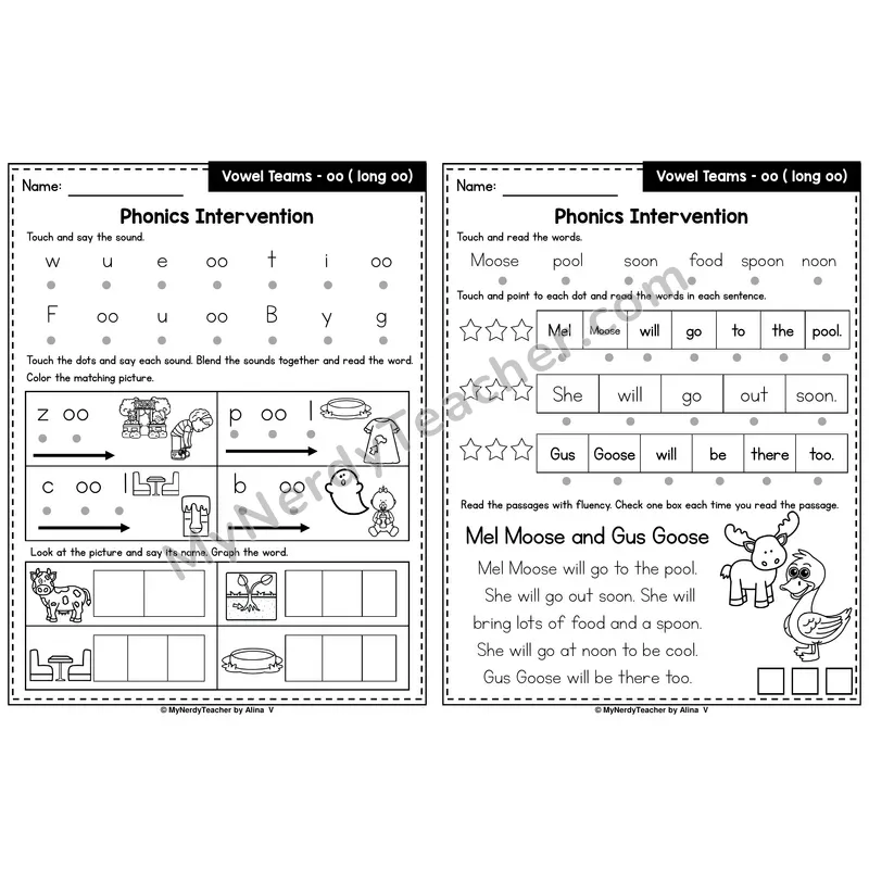 Vowel Team oo (Long Sound) Phonics Intervention — Printable Blending & Decodable Passage