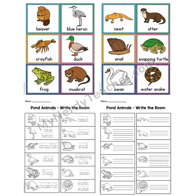 Write the Room — Pond Animals