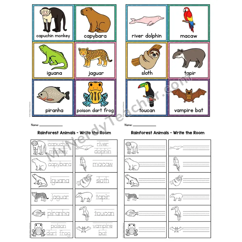 Write the Room — Rainforest Animals