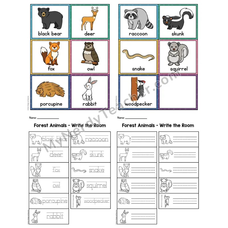 Write the Room — Forest Animals