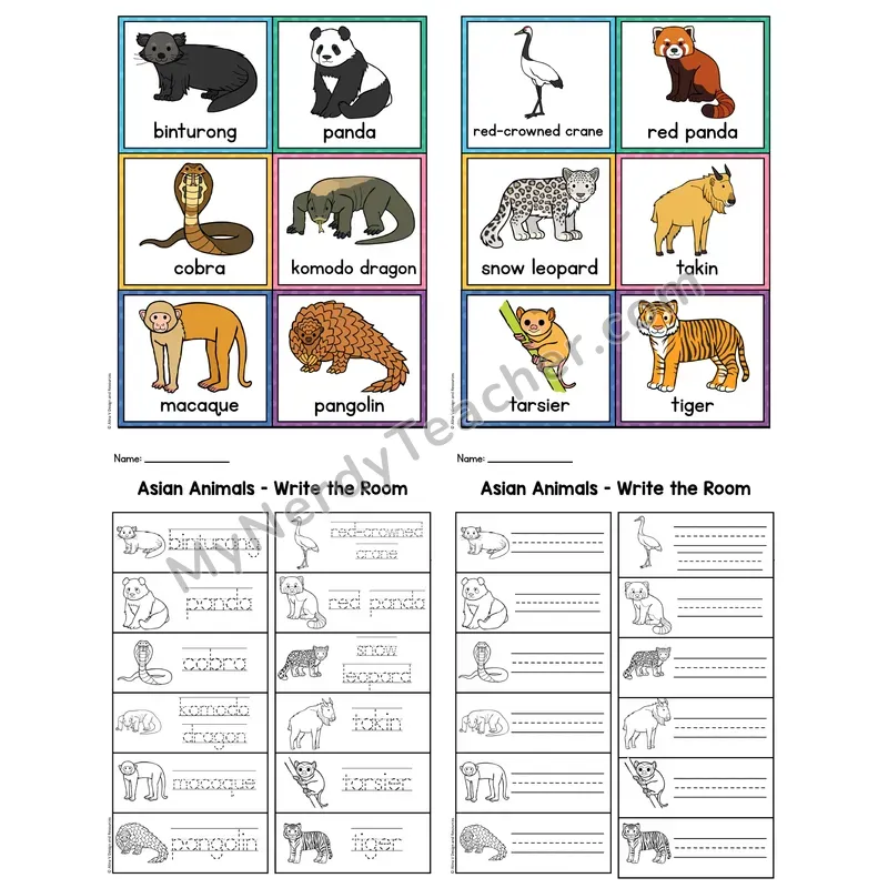 Write the Room — Asian Animals