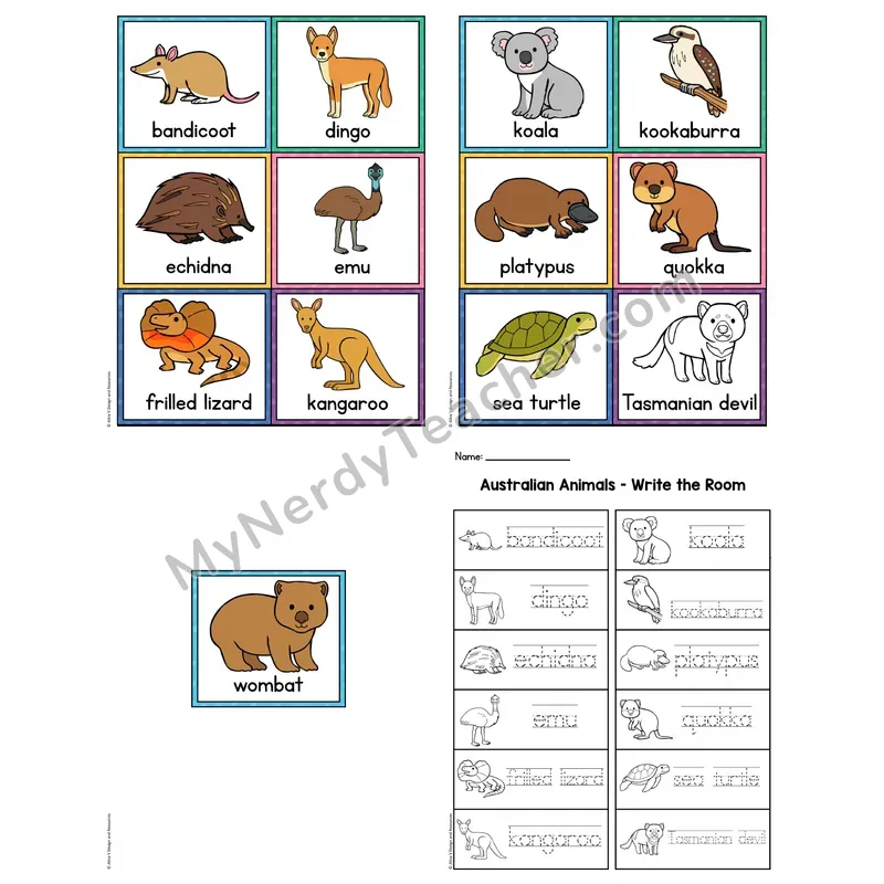 Write the Room — Australian Animals