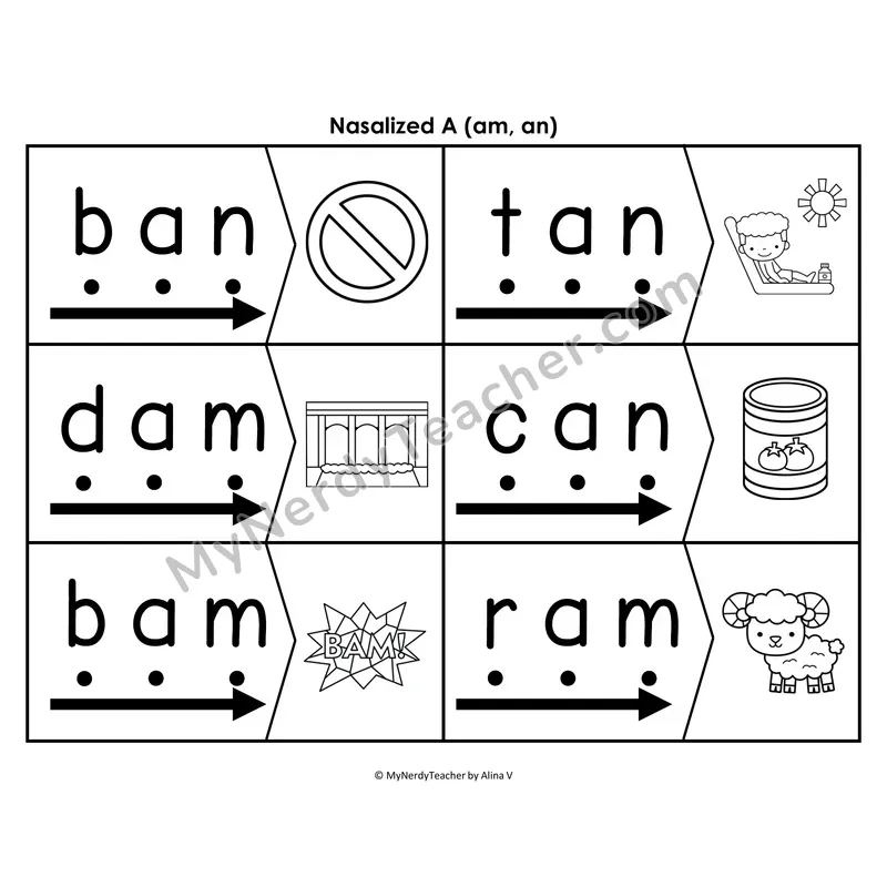 Nasalized A Blending & Segmenting Cards (B&W)