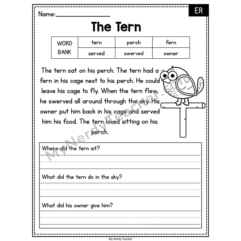 The Tern — ER Phonics Reading Passage with Short Answer