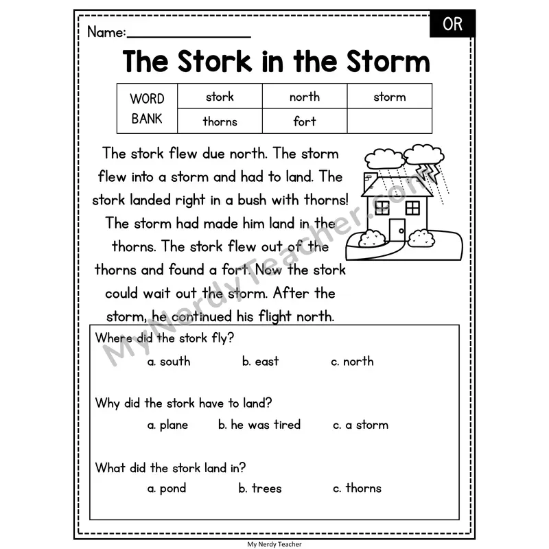 The Stork in the Storm — OR Reading Passage with Multiple Choice