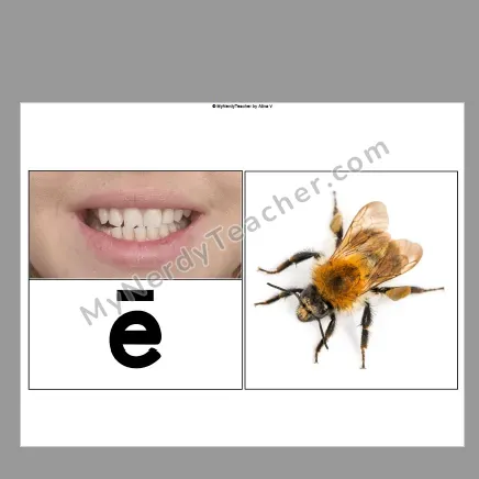 Sound Wall with Real Photos — Vowel Valley & Consonant Display