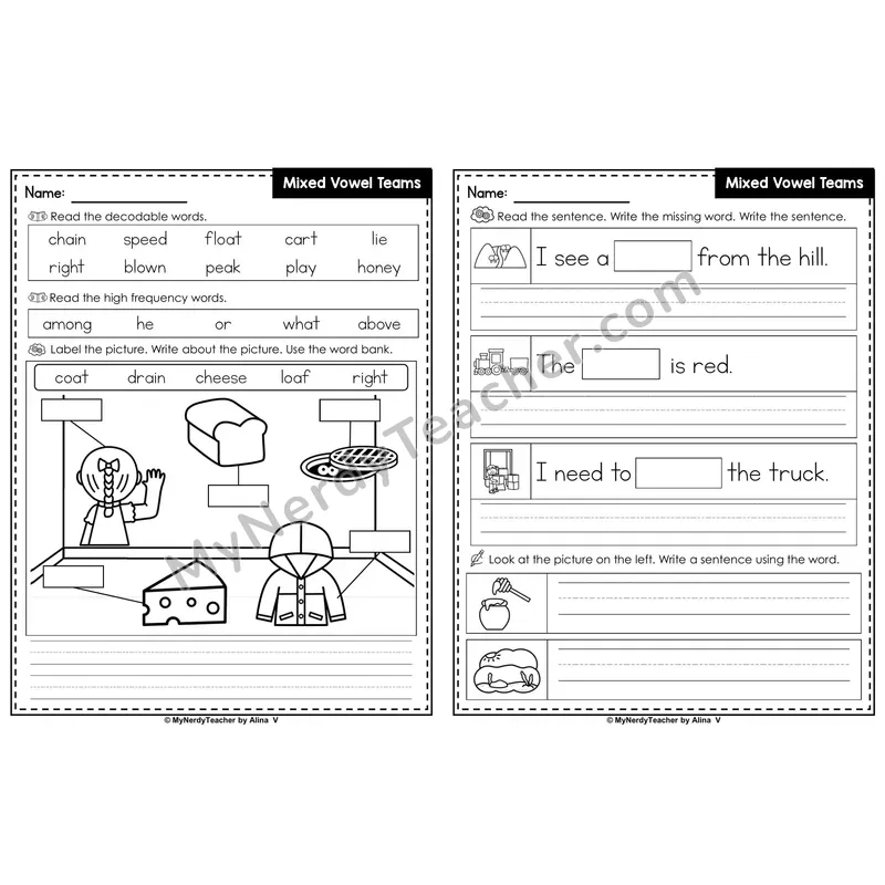 Mixed Vowel Teams Review Editable PowerPoint Label & Write Activity