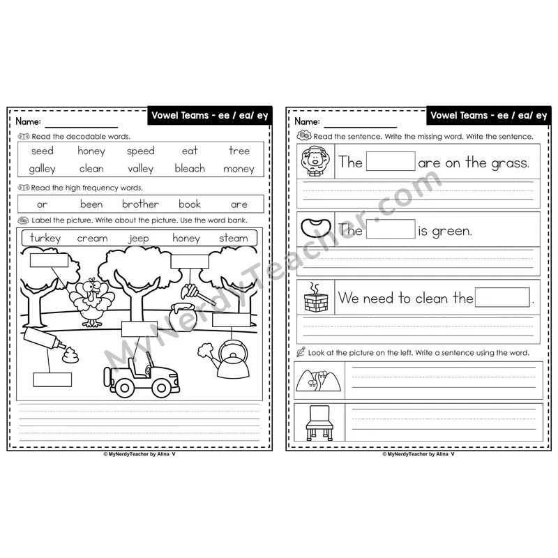 Vowel Team ee/ea/ey (Long E) Label & Write Worksheet