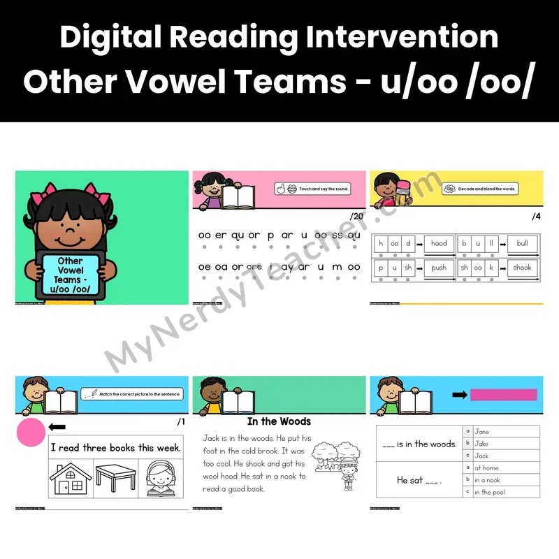 Digital Phonics Intervention — Other Vowel Teams - u/oo /oo/ (Preview)
