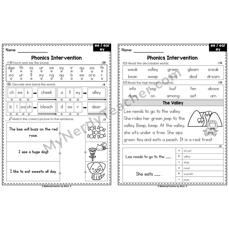 Editable Phonics Intervention Worksheet — Vowel Teams - ee / ea / ey (Preview)