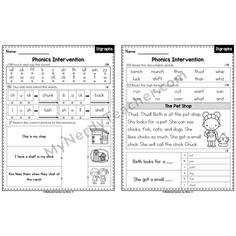 Editable Phonics Intervention Worksheet — Digraphs Review (Preview)