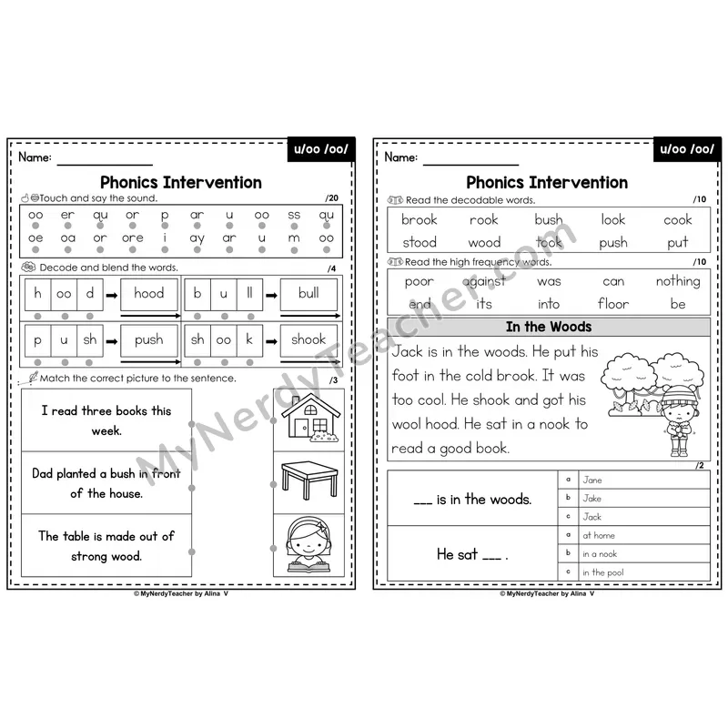 Phonics Intervention Worksheet — Other Vowel Teams - u/oo /oo/ (PDF)