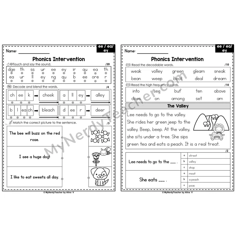 Phonics Intervention Worksheet — Vowel Teams - ee / ea / ey (Preview)