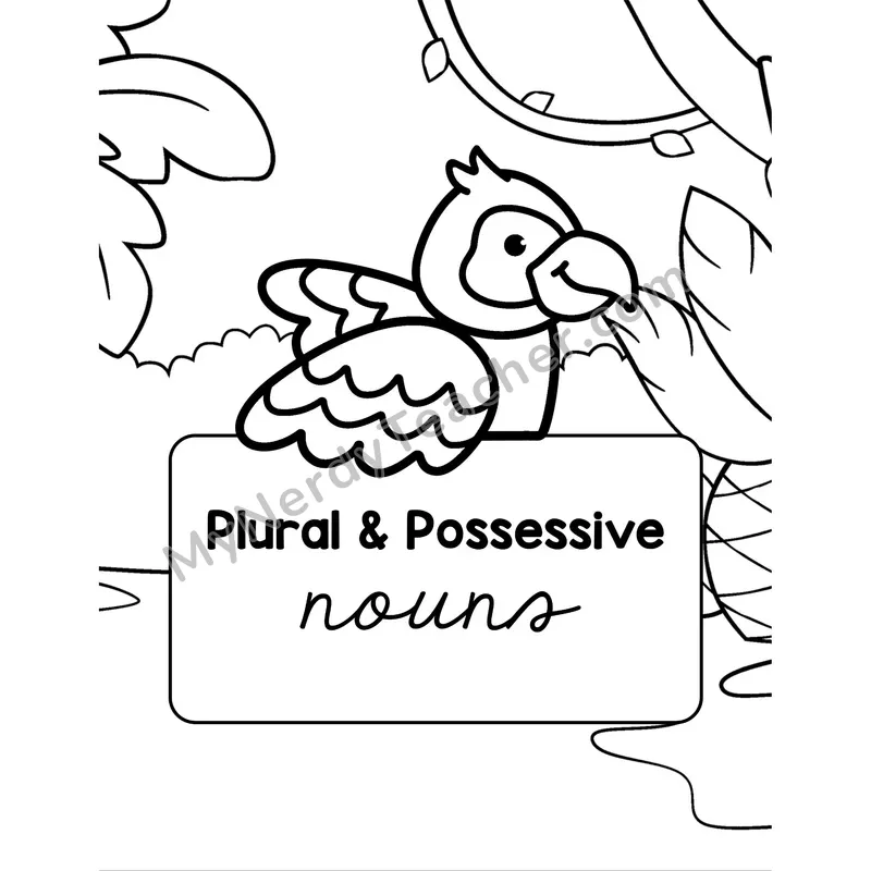 Plural and Possessive Nouns Section Cover — Grammar Divider