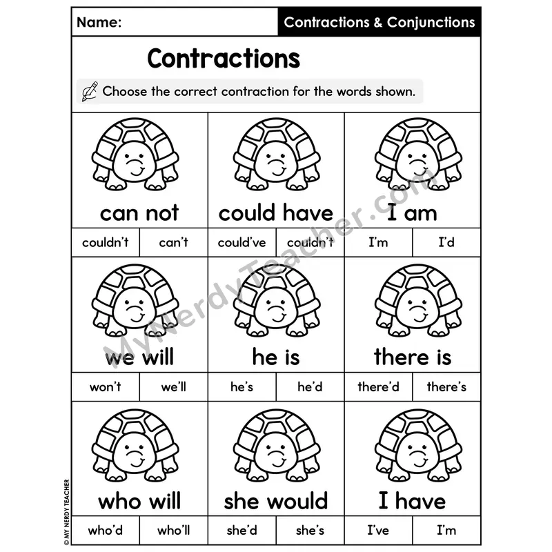 Choose the Correct Contraction Worksheet — Turtle Multiple Choice