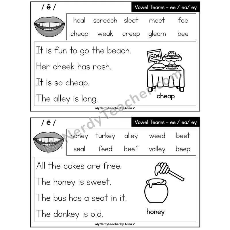 Vowel Teams ee, ea, ey Phonics Flash Cards — Editable PowerPoint