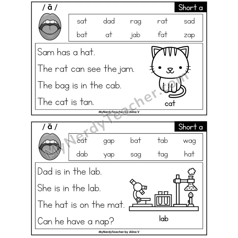 Short A Phonics Flash Cards — Editable PowerPoint
