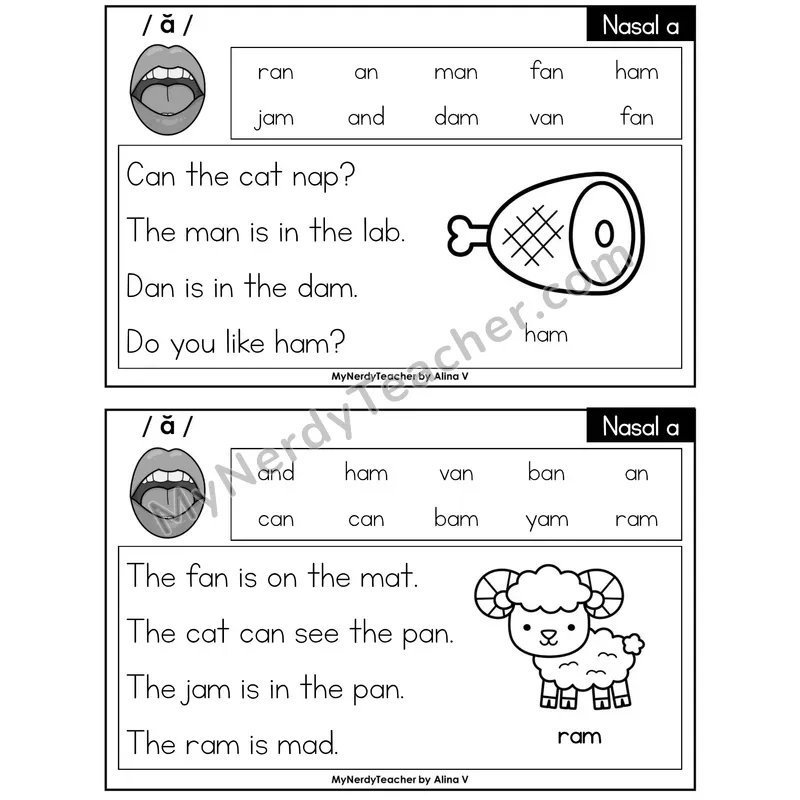 Nasalized A (am, an) Phonics Flash Cards — Printable Practice