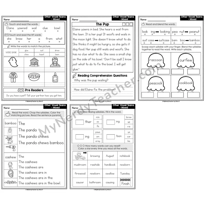Other Vowel Teams Mixed Decodable Passages — Multisyllabic Set 2