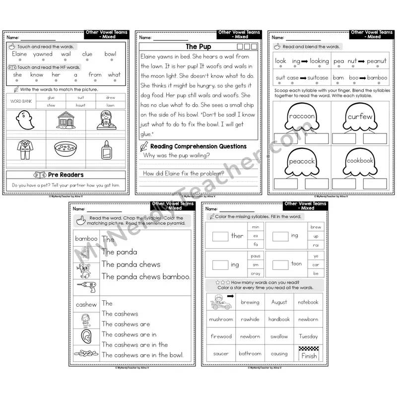 Other Vowel Teams Mixed Decodable Passages — Multisyllabic Set 2 (Editable)
