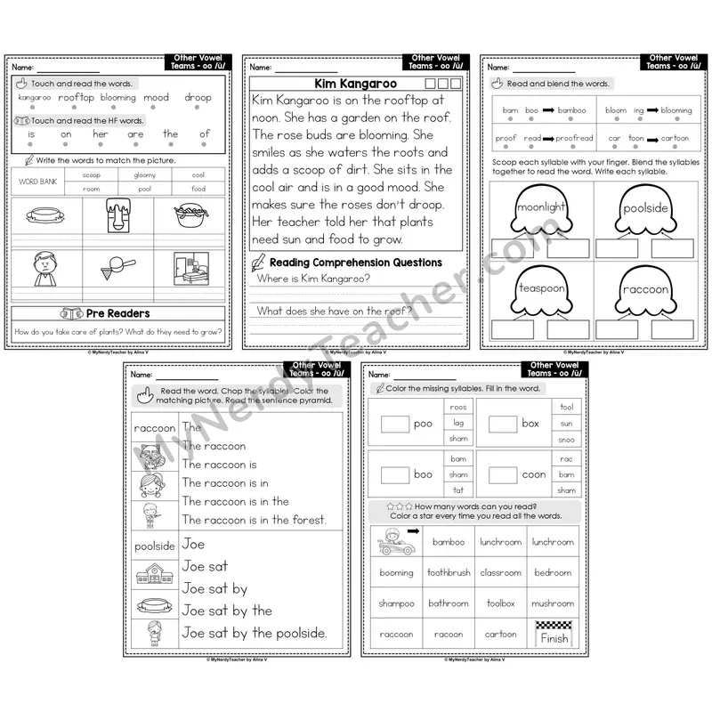 Vowel Teams oo, u Decodable Passages — Multisyllabic Words (Editable)