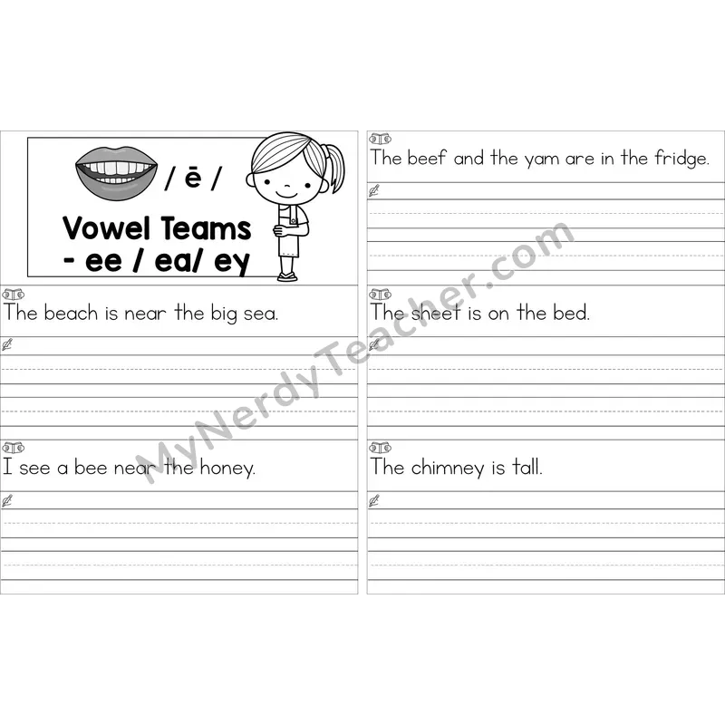 Editable ee, ea, ey Vowel Team Read and Write Sentences (Black and White)