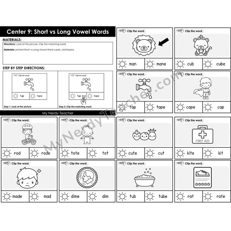 Morning Bins: Short vs Long Vowel Clip Cards — Spring Theme