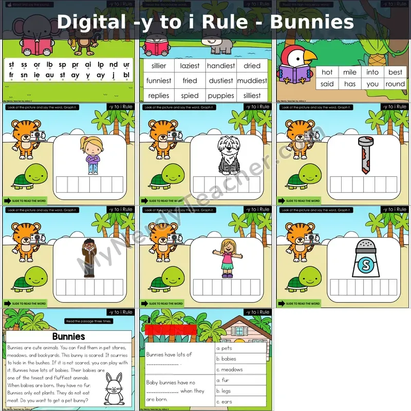 y to i Spelling Rule Decodable Passage — Bunnies (Google Slides)