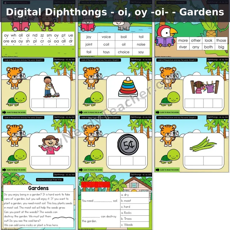 oi, oy /oi/ Decodable Passage — Gardens (Google Slides)