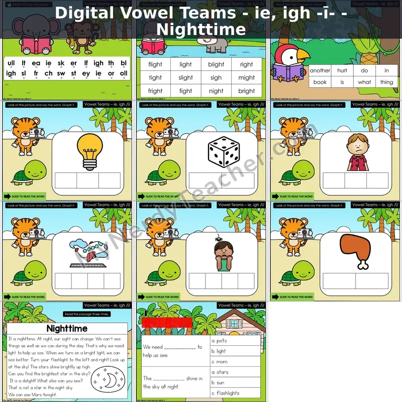 ie, igh /ī/ Decodable Passage — Nighttime (Google Slides)