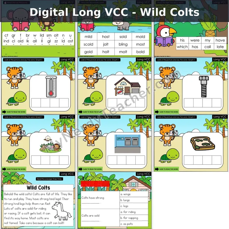 Long VCC (-ild, -old, -ind) Decodable Passage — Wild Colts (Google Slides)
