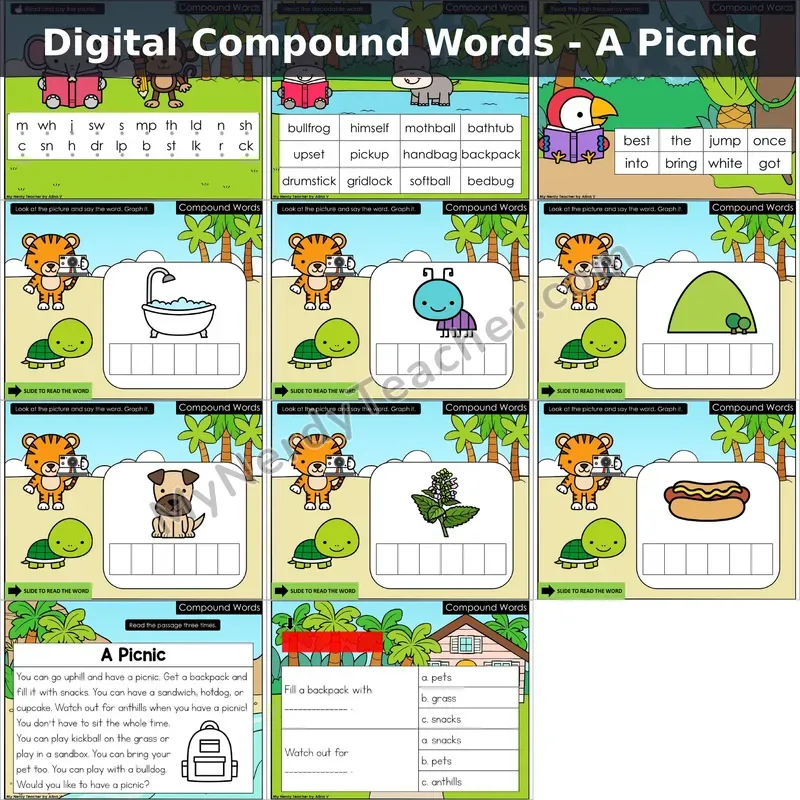 Compound Words Decodable Passage — A Picnic (Google Slides)
