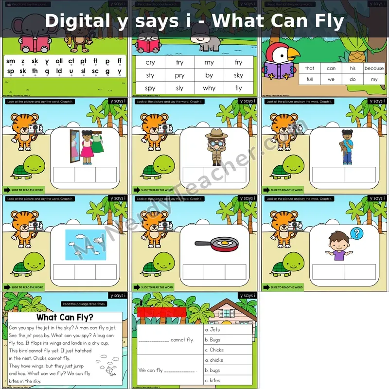 y /ī/ Decodable Passage — What Can Fly (Google Slides)
