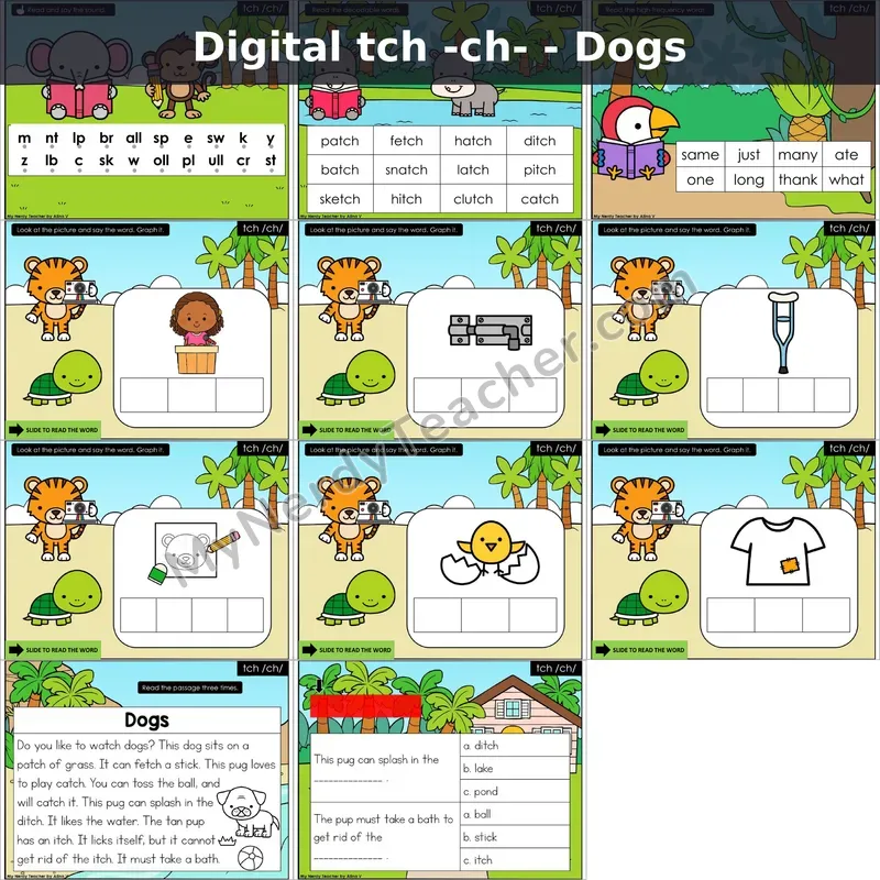 tch /ch/ Decodable Passage — Dogs (Google Slides)