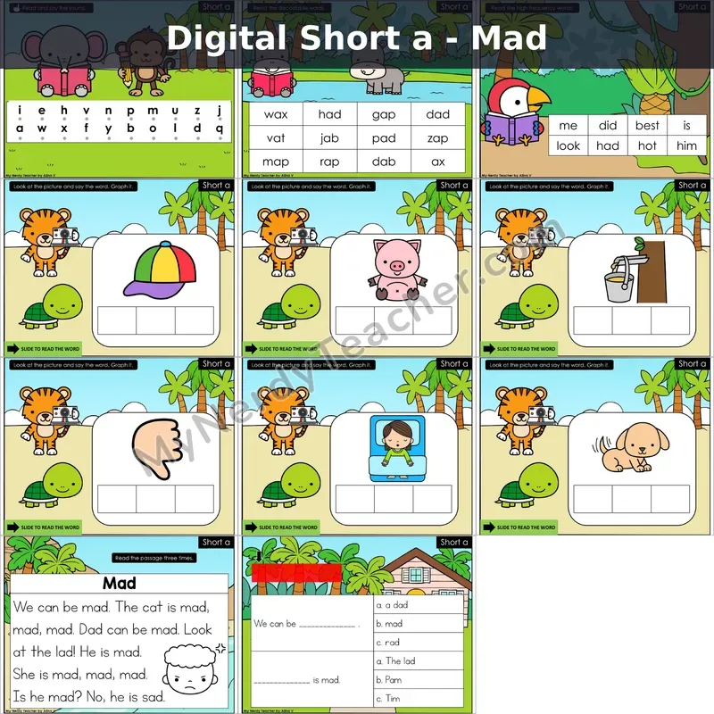 Short a /ă/ Decodable Passage — Mad (Google Slides)