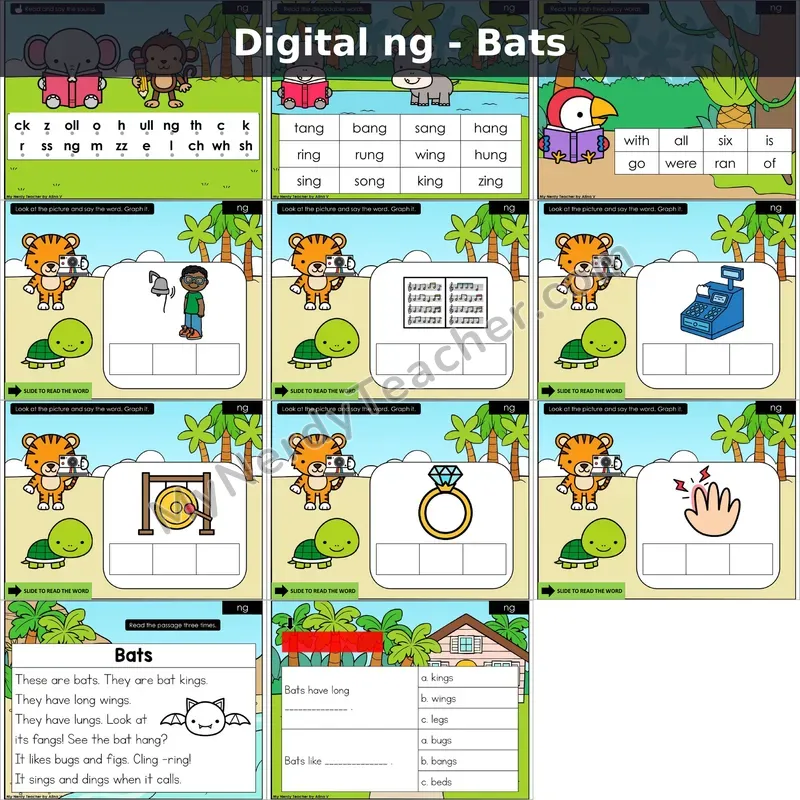 ng /ŋ/ Decodable Passage — Bats (Google Slides)