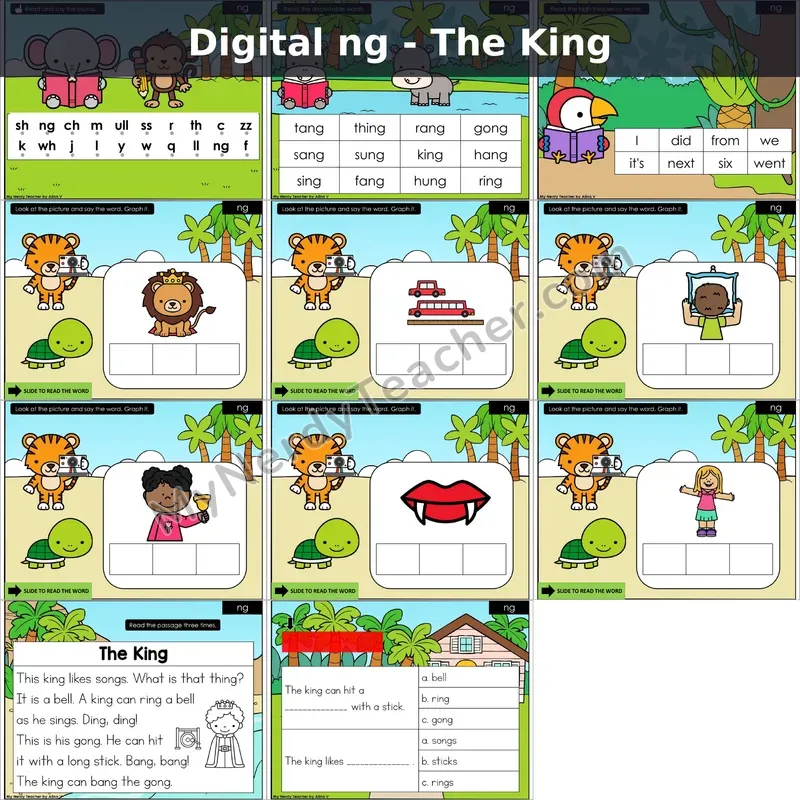 ng /ŋ/ Decodable Passage — The King (Google Slides)