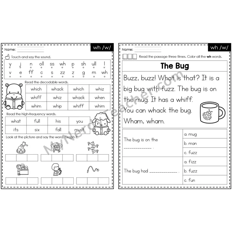 wh /w/ Decodable Passage — Editable PowerPoint