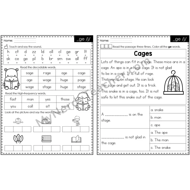 _ge /j/ (Soft G) Decodable Passage — Editable PowerPoint