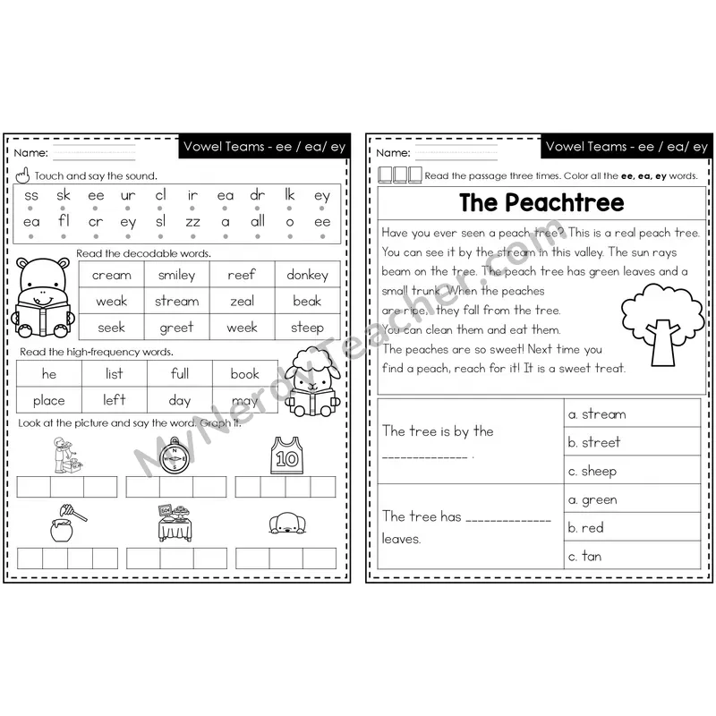 ee, ea, ey /ē/ Decodable Passage — Editable PowerPoint