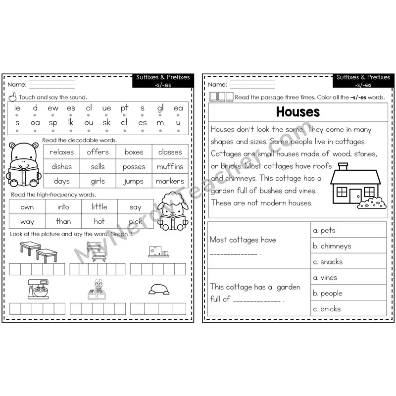 Suffixes -s, -es Decodable Passage — Editable PowerPoint