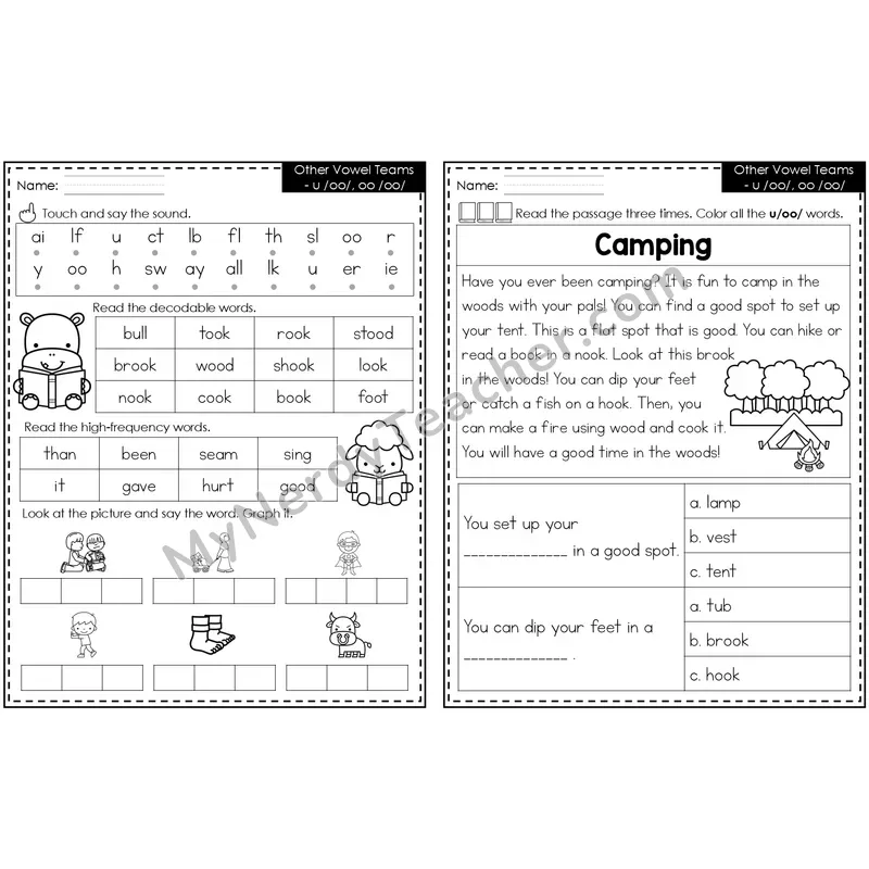 Other Vowel Teams - U, Oo Decodable Passage — Editable PowerPoint