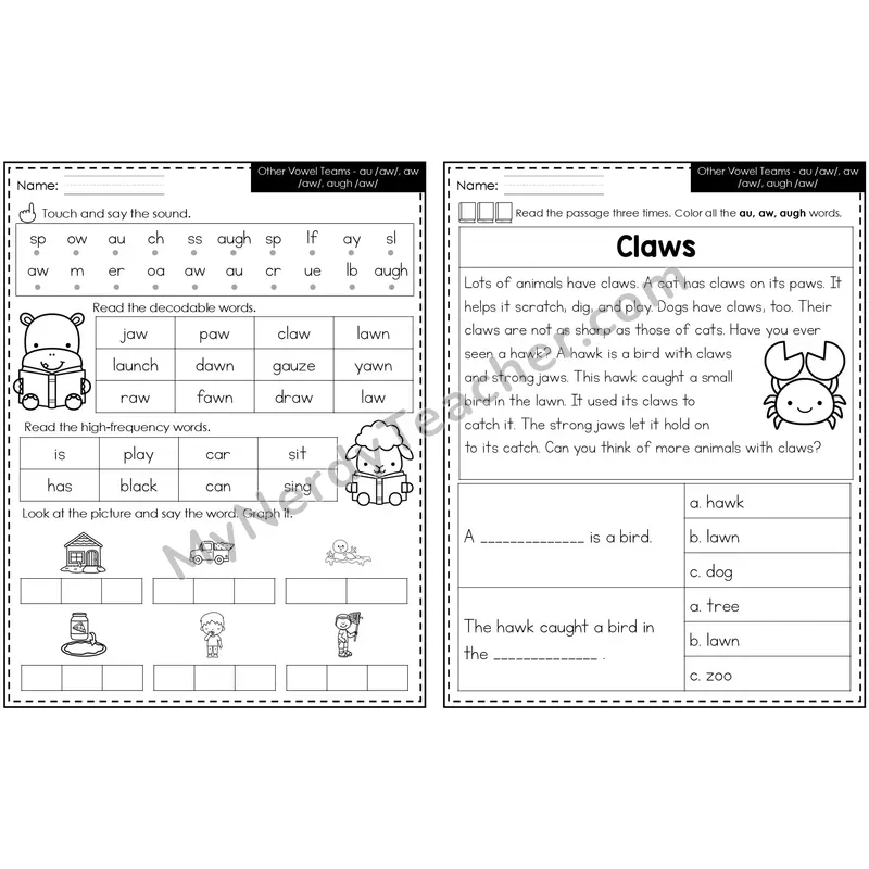 au, aw, augh /aw/ Decodable Passage — Editable PowerPoint