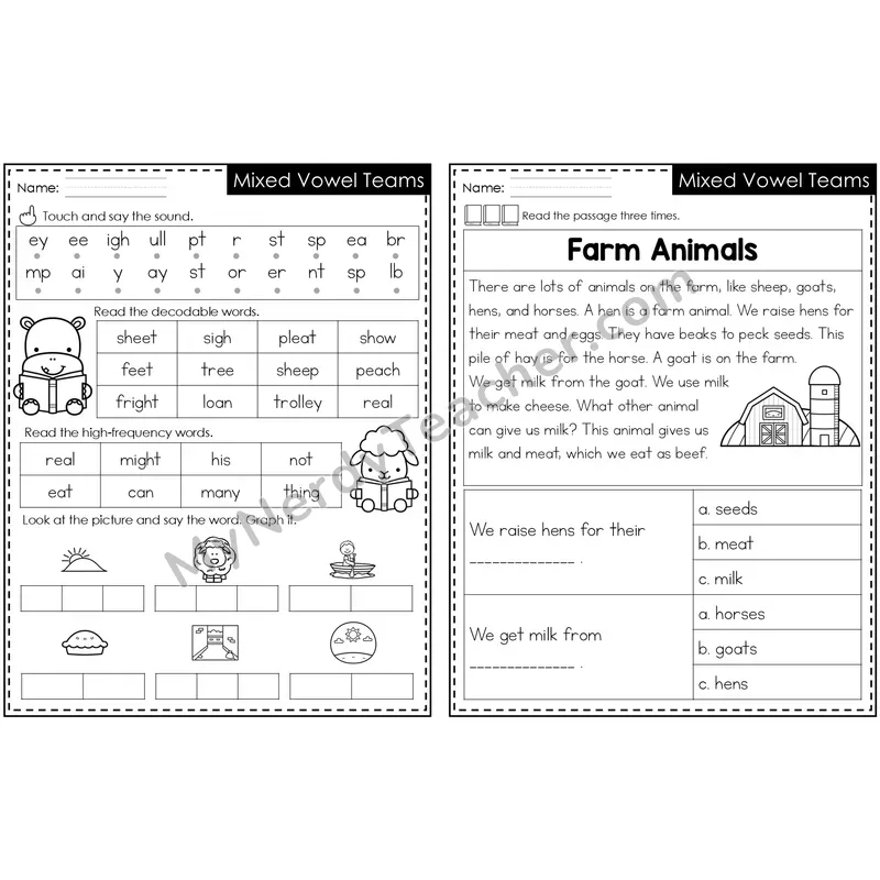 Mixed Vowel Teams Decodable Passage — Editable PowerPoint