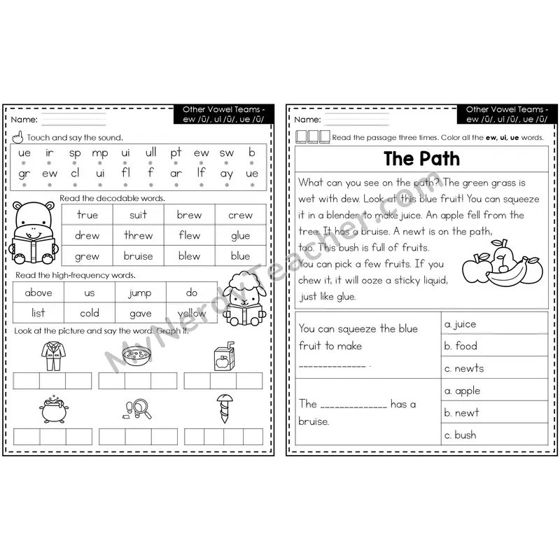 Other Vowel Teams - Ew, Ui, Ue Decodable Passage — Editable PowerPoint
