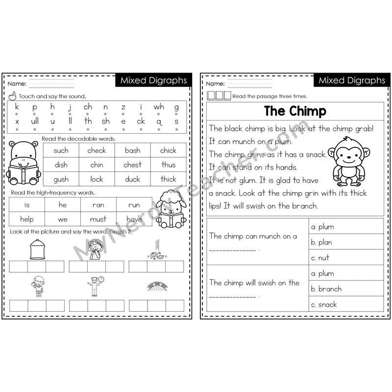 Mixed Digraphs Decodable Passage — Editable PowerPoint