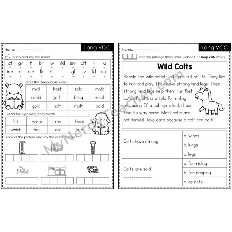 Long VCC (-ild, -old, -ind) Decodable Passage — Editable PowerPoint