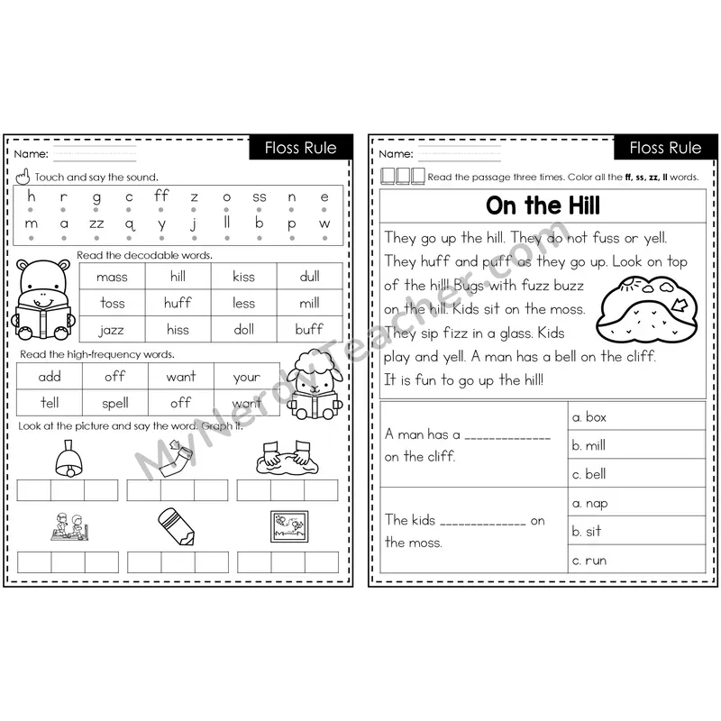 Floss Rule (ff, ll, ss, zz) Decodable Passage — Editable PowerPoint